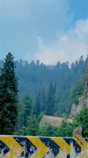 🫶 #Muchar #sab #deowal_bhalwal #TRENDING #AA @ریحان 👑