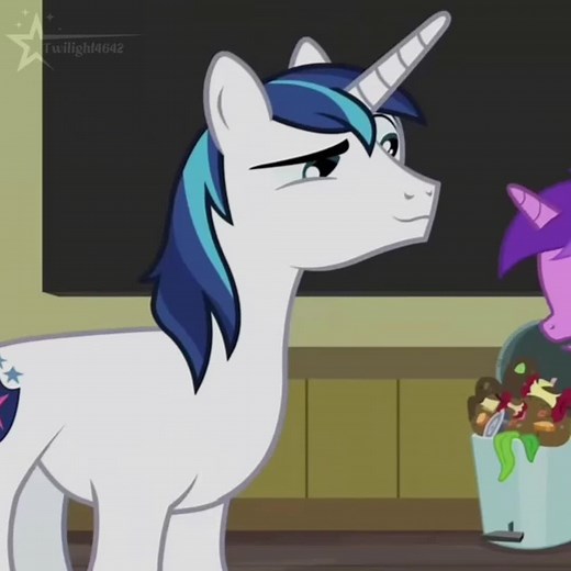 Celebrando 500 gracias con MLP y Twilight