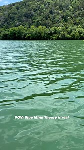 1.3K views | Dive into "Blue Mind" by marine biologist Dr. Wallace J. Nichols, as he reveals our natural affinity for water. Through neuroscience, Dr. Nichols shows how being near, in, on, or underwater can boost well-being, health, connection, and performance.  | Lake Austin Spa Resort | Facebook