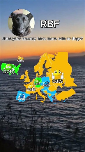 does your country have more cats or dogs? #shorts #map