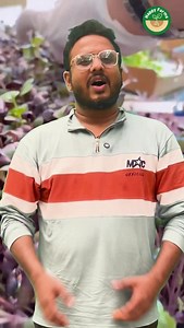 15K views · 1K reactions | Micro green farming ….Nayaa trending #MicroGreenFarming #UrbanFarming #SustainableAgriculture #GrowYourOwnFood #HealthyEating #FreshProduce #Foodie #GardenLife #OrganicFarming #SmallSpaceGardening #EatFresh #FarmToTable #PlantBased #GardeningTips #GreenThumb #EcoFriendly #HealthyLiving #Superfoods #homegardening | Happyfarms | Facebook