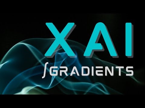 Learn Integrated Gradients w/Colab: Identify significant Pixels for AI Object Recognition - 2022