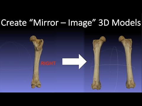 Creating Mirror-Image 3D Models [MeshLab Workflow]