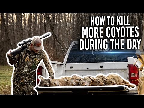 How to Kill More Coyote This Season! Tips and Techniques with Jon Collins