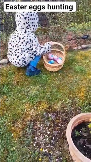 Easter eggs hunting