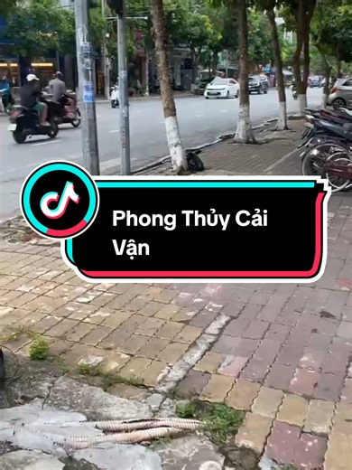 Tuổi Ngọ muốn phát tài đón vận may mắn thì làm ngay mẹo phong thủy này để mở vận đón tài lộc may mắn #tuoingo #phongthuycaivan #phongthuytamlinh #tamlinhhuyenbi