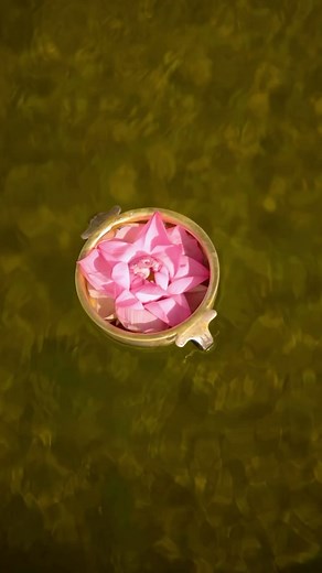 Twylla™ on Instagram: "Introducing Twylla, where every creation reflects your unique journey. Inspired by the enchanting beauty of twilight, our designs merge the elegance of ethnic heritage with contemporary flair, just like the lotus that flourishes in diverse environments. Born from a passion for individuality, Twylla is more than just clothing—it’s about embracing who you are, with every stitch woven to highlight your beauty. Step into the world of Twylla, where tradition meets today, and di