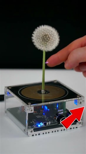 THAT WAS PERFECT💯😱 1-10? ⚡ #shorts #short #wow #best #respect #music #amazing #tesla #funny