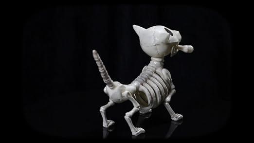 Digger the Skeleton Dog - 360 Degree Video