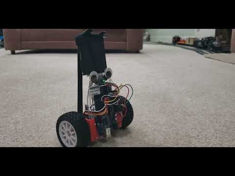 Self-Balancing Robot Remote Controlled (Uncut Stability Demo)