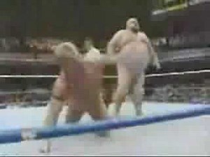 Bastion Booger vs. Lex Luger