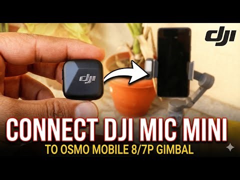 DJI Mic Mini on Osmo Mobile 8 & 7P | Do You Actually Need a Separate Receiver?