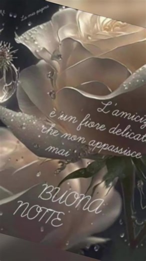 Video di Antonio Rosario (@antoniorosario612) con original sound - Jason Badran Official