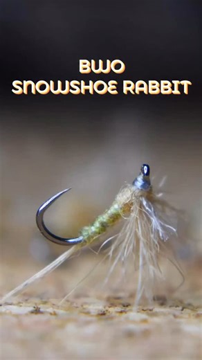 Mario González on Instagram: "18# BWO Snowshoe Rabbit is a winner option for fast waters in summer #flyspiritblog #flyfishing #flyfishingspain #flyfishingart #flyfishinglife #flytying #flytyingjunkie #flytyingporn #flytyingaddict #tyingflies #troutflies #dryflies #dryflyfishing #dryordie #euronymph #troutfly #troutfood #nymphfishing #flyfishingphotography #flydayflies #onthefly #riverfishingspain #findyourwater #pechealamouche #pescaconmosca #montajedemoscas"