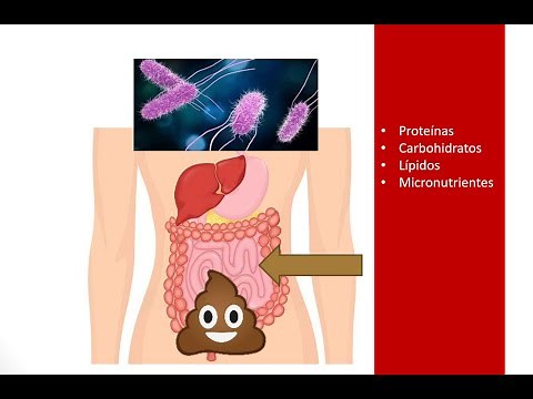 How to Stop Diarrhea and Prevent Dehydration?