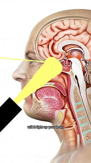 427K views · 9.9K reactions | Making Light Come Out Of My Eyes! #science #light #experiment #reels #viralreels #learning | The Action Lab | Facebook