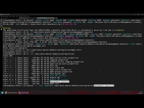 JBOSS - Enabling SSL On Managements console