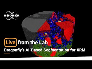 Live from the Lab: A Closer Look at Dragonfly’s AI-Based Segmentation for XRM