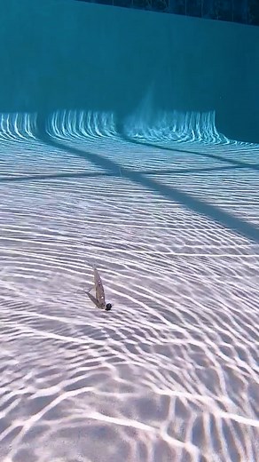 23K views · 113 reactions | Underwater POWER PRAWN ACTION!! 視The...