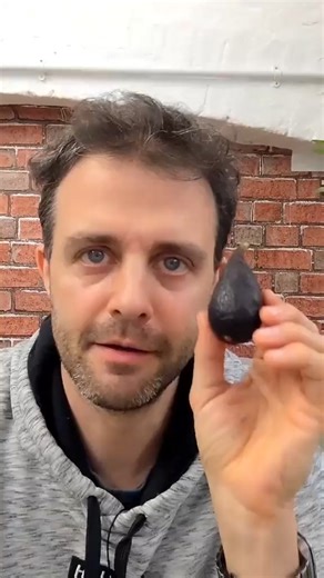 I came up with this conclusion: figs are crazy. #science #interestingfacts | Steve Mould