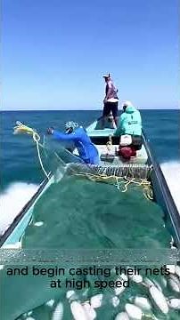 Smart Fishing Strategy at Sea | How Fishermen Catch Massive Fish Using Blood Water