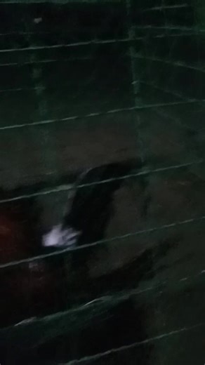 Michael Santander on Reels