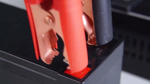 8 Volt Battery Charger - Smart Fully Automatic 0-14A Maintainer for 8V Golf Cart & Automotive Batteries, Also Charges 6/12/14/16/24V AGM, Gel, Lead-Acid