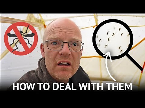 Ultimate Mosquito Repellent Guide | Avoid Mosquitoes and Bites!