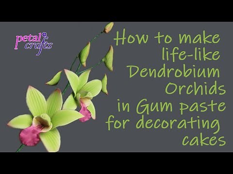 How to make Gum paste Dendrobium Orchid