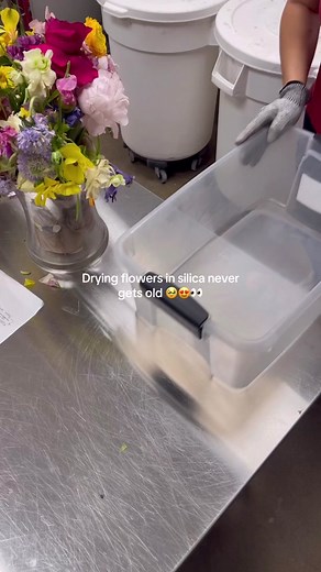 Colorful Wedding Bouquet Preservation