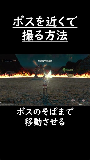 ボスを近くで撮る方法