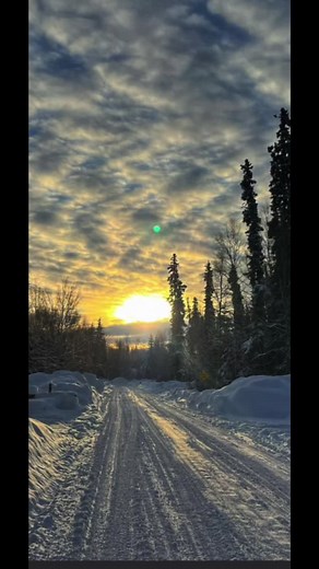 AlaskaRobRoy on TikTok