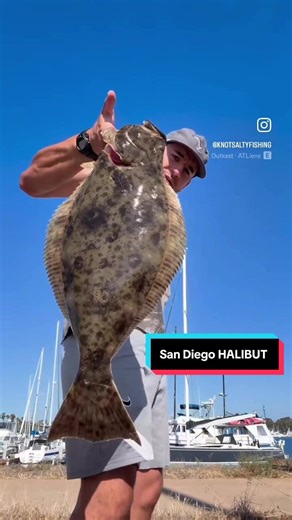 Drop shot harbor Hali 😎 #fishing #halibut #surffishing #sandiego