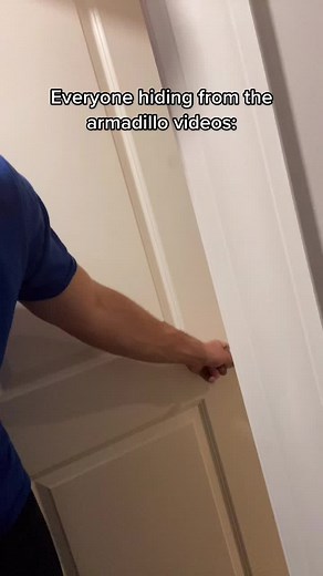 Can You Tame Armadillos in Minecraft? | Minecraft Armadillo Taming Guide