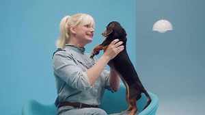 705K views · 6K reactions | Surprise your dog with a monthly box of unique paw-picked toys & tasty all-natural treats. | BarkBox | Facebook