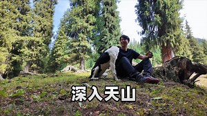走不出新疆，深入天山去采野蘑菇，和好友一起的房车旅行真开心