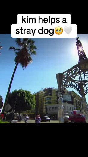 this is one of my fave espisodes of kuwtk! kim finding princess was so cute❤️ #keepingupwiththekardashians #kuwtk #kuwtkclips #thekardashians #thekardashianshulu #thekardashiansfamily #karjenner #thekardashiansclips #thekardashiansjenner #kimkardashian #kimkardashianwest #kimkardashianclips #kimkardashian2000s #fyp original 🎥: kardashianclip_