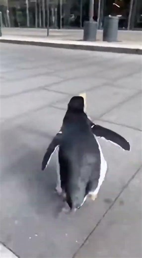 Witness how a modest act can profoundly alter the scene's emotional landscape