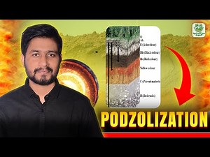 Podzolization Soil Formation Process | 4 Marks | ICAR JRF SRF NET