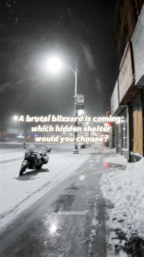 A brutal blizzard is coming; which hidden shelter would you choose?#aiasmr #asmrvideo #satifying #chooseone #oddlysatisfyingvideo