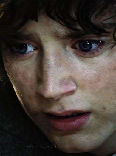 Frodo Baggins: Gorgeous Edit and Memorable Moments