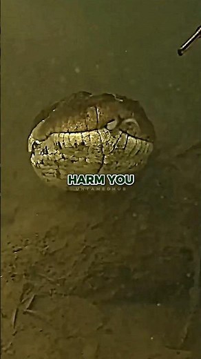 Why Do Snakes Avoid Humans?