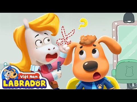 Chiếc kéo vàng của thợ cắt tóc | Cảnh sát trưởng labrador | Hoạt hình thiếu nhi vui nhộn | BabyBus
