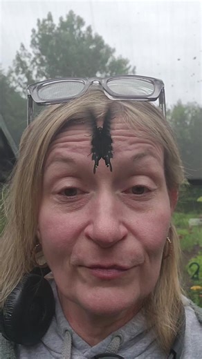 Yes. I am aware. I have frass on my nose. Fun fact of the day: Frass is fancy for butterfly poop.