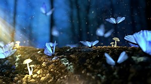 PC Blue Butterflies Live Wallpaper Free