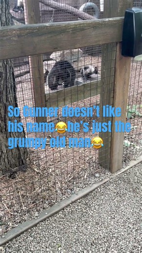 Gunner is too funny😂
