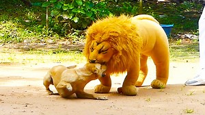 35M views · 406K reactions | Laugh & Laugh Non stop loud Prank Sleep Dog Funny Comedy Vs Sleep Dog #Prank #Funny | Top Generations | Facebook