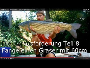 Die Herausforderung 8 - Fange einen 60cm Graskarpfen mit Pose
