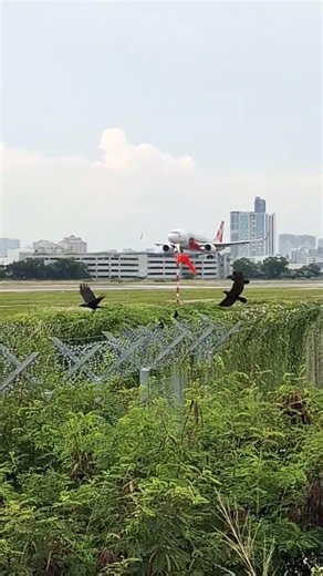 Air Asia Airlines landing in Penang airport #penangairport #aviation #landing #airasiaflight
