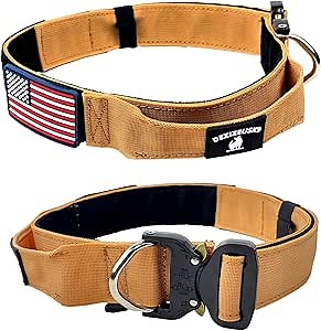 Tactical Dog Collar with Handle - 1.5 Inch Thick Heavy Duty Nylon, Military Style Metal Quick Release Buckle & Integrated D-Ring, for Medium & Large Dogs – Includes USA Flag On Customizable Name Plate
